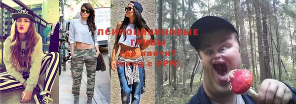 таблы Инсар