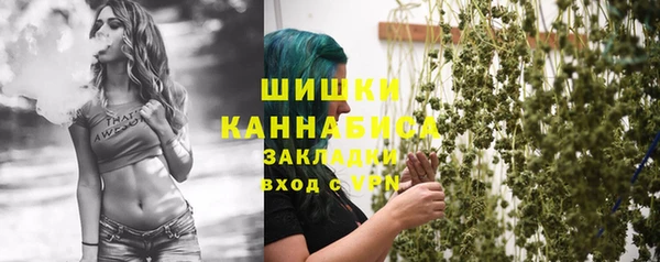 спиды Инта