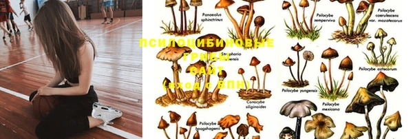 ALPHA PVP Иннополис