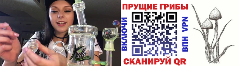 Галлюциногенные грибы прущие грибы  Купить  Барыш 